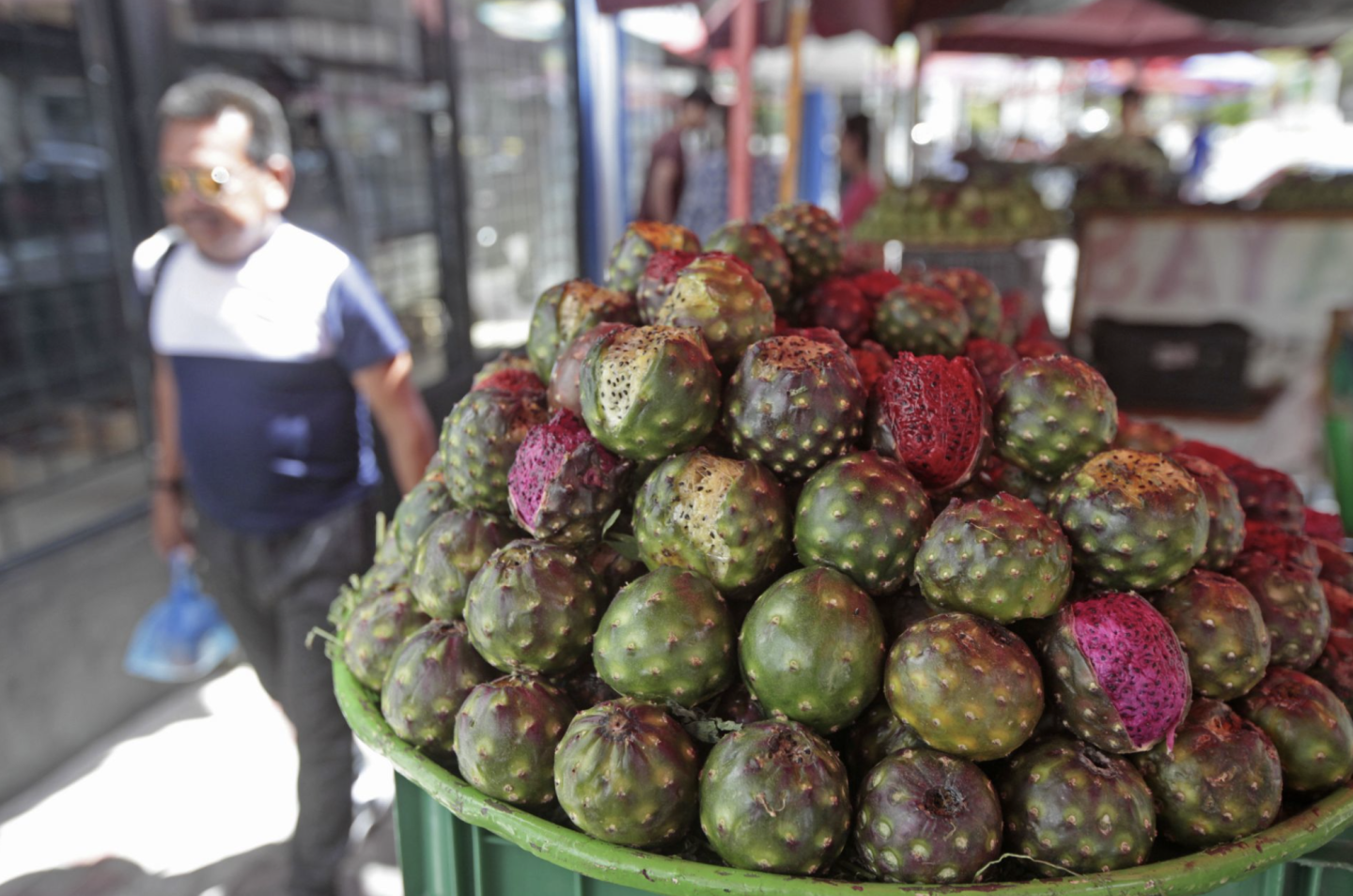 PITAYA.png