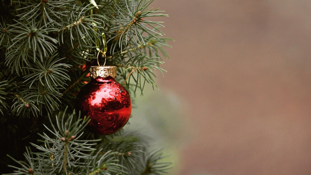 cuando-se-pone-el-arbol-de-navidad-en-mexico-2024