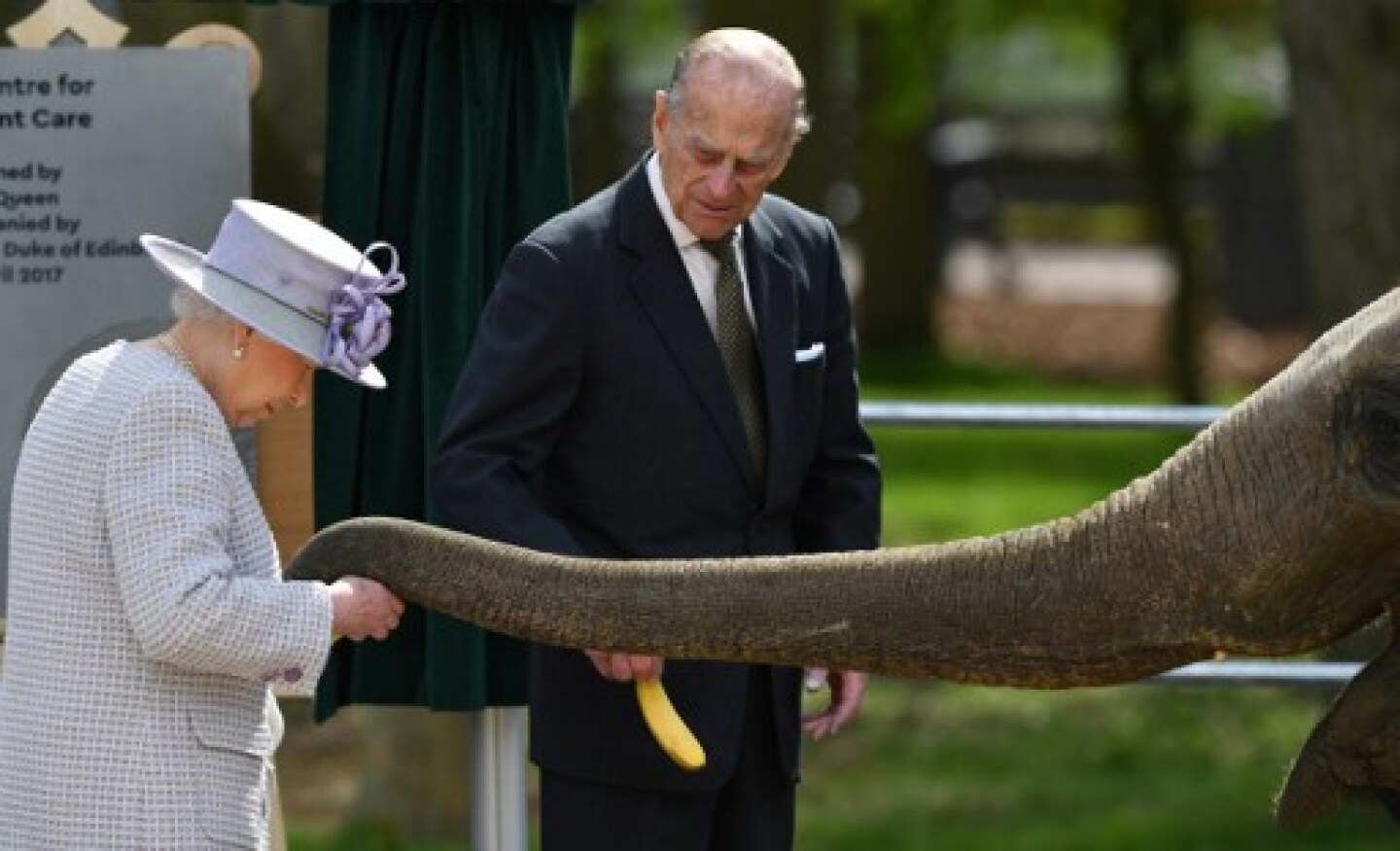 BRITAIN-ROYALS-ANIMALS