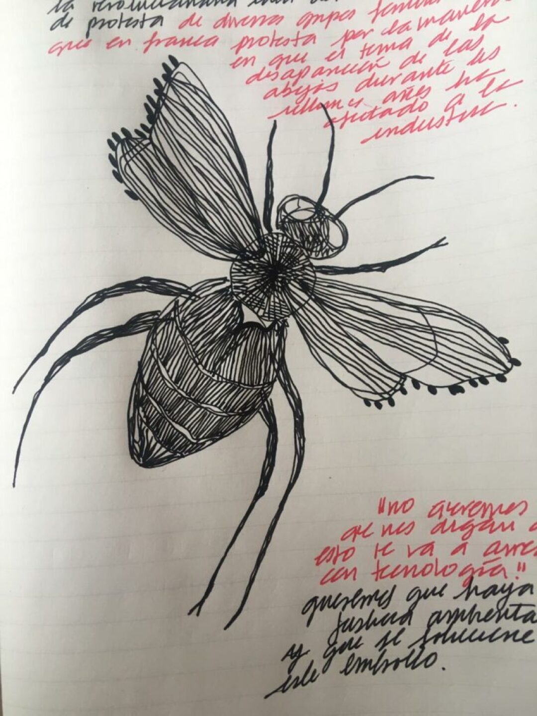 WhatsApp-Image-2021-02-20-at-14.39.13-768x1024