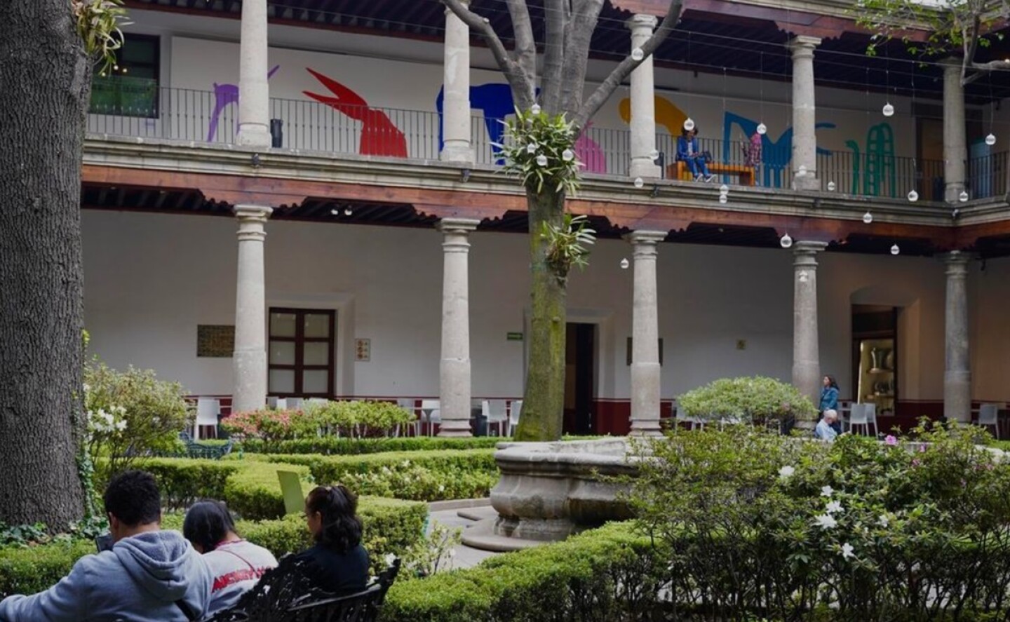 rally_101_museos_cdmx_2024_