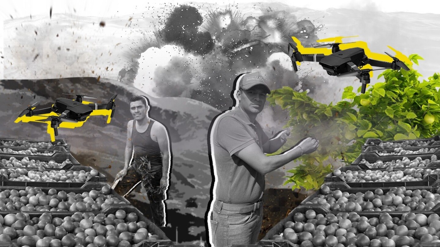 limoneros-michoacan