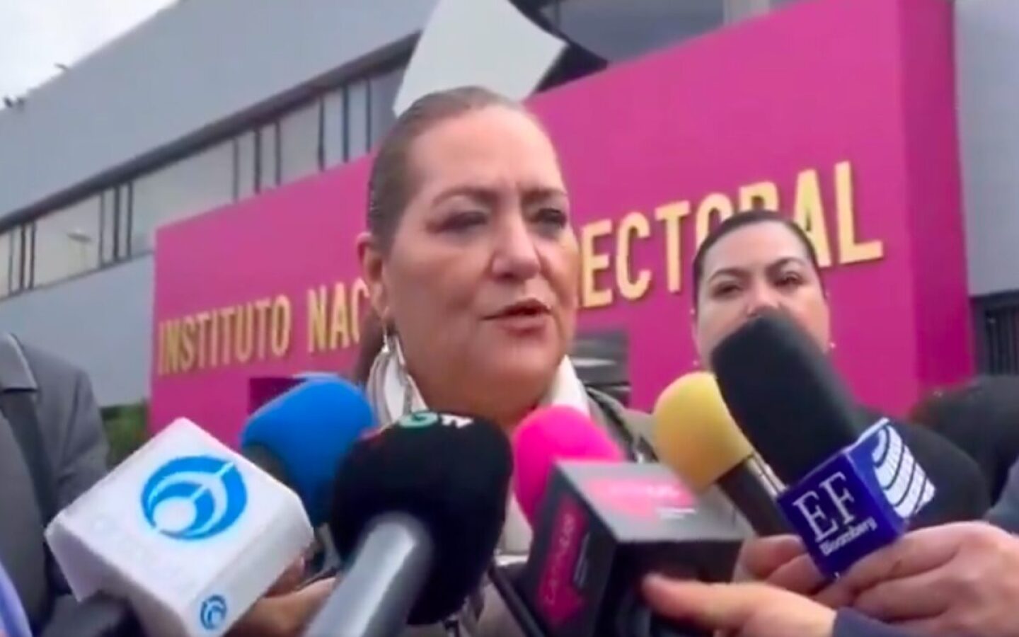 Guadalupe Taddei bono electoral