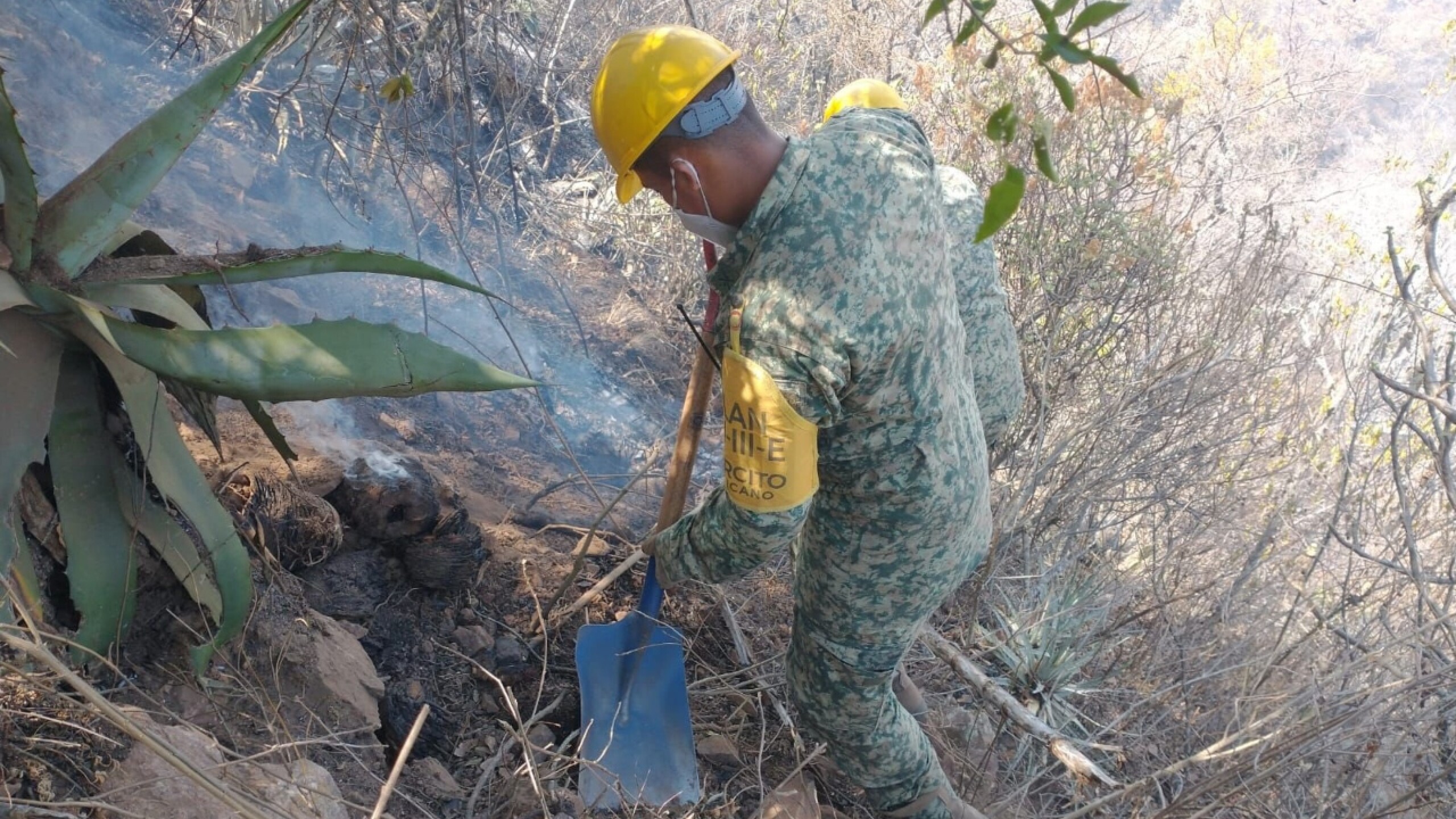 incendio-en-oaxaca-hoy-1