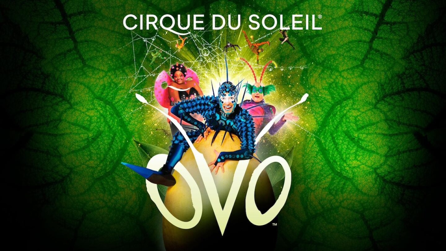 cirque du soleil ovo precios boletos ticketmaster 2025.jpg