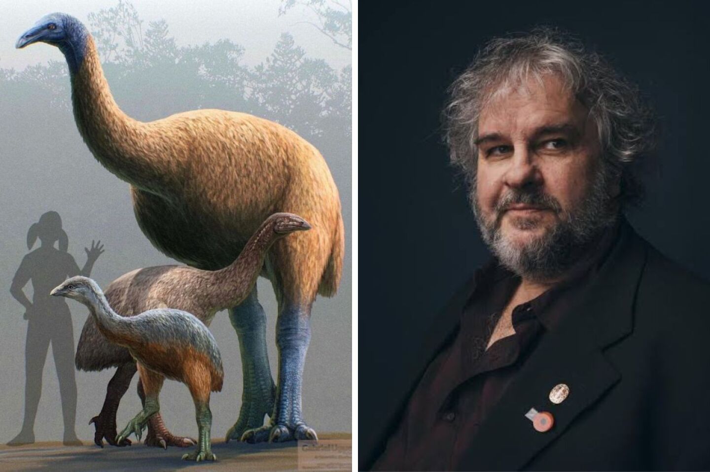 peter-jackson-y-colossal-biosciences-trabajan-para-devolver-a-la-vida-al-moa-el-gigante-perdido-de-nueva-zelanda-video
