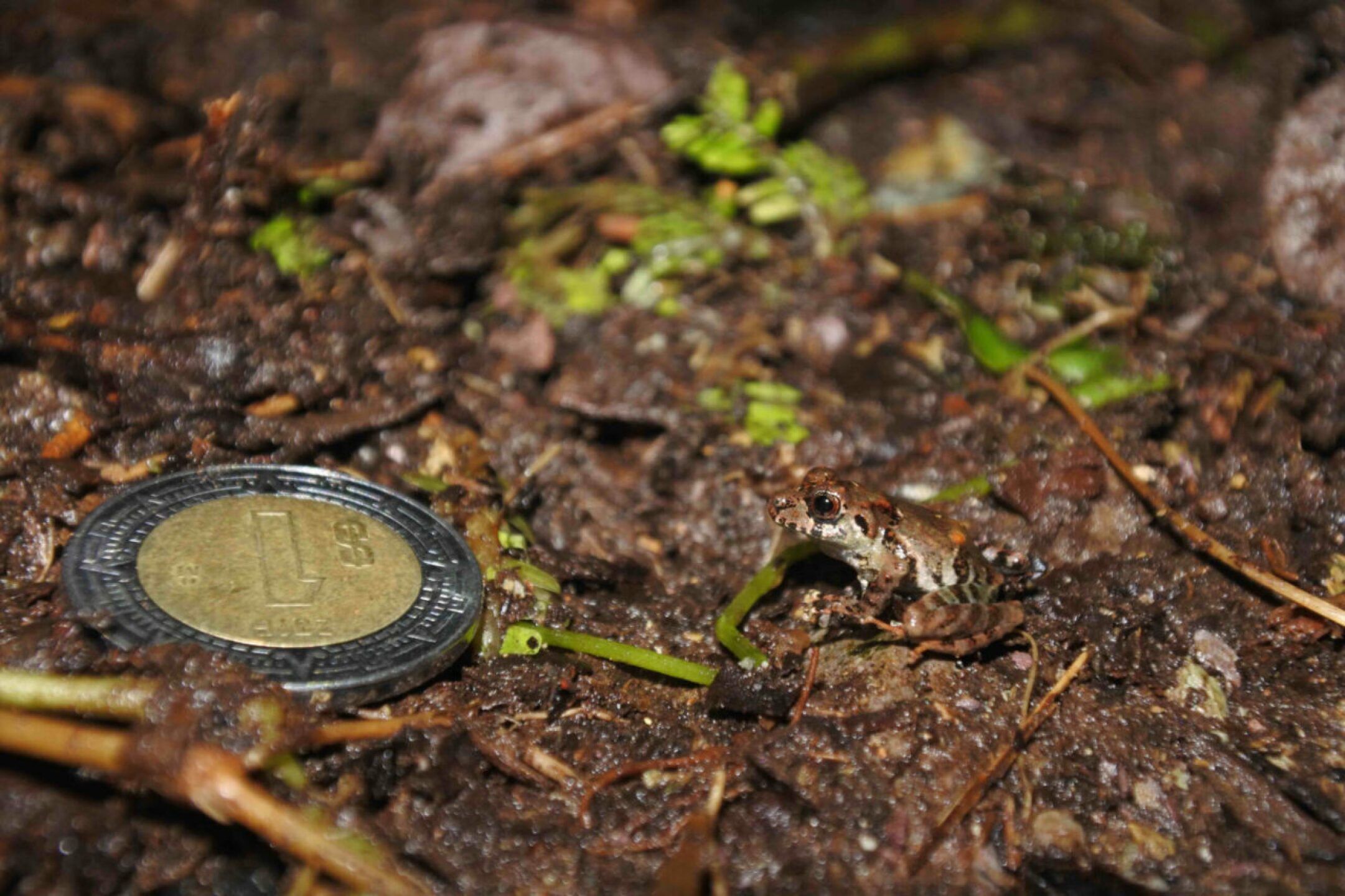 image-1-21-1280x853
