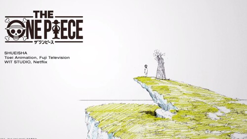 wit-studios-remake-one-piece