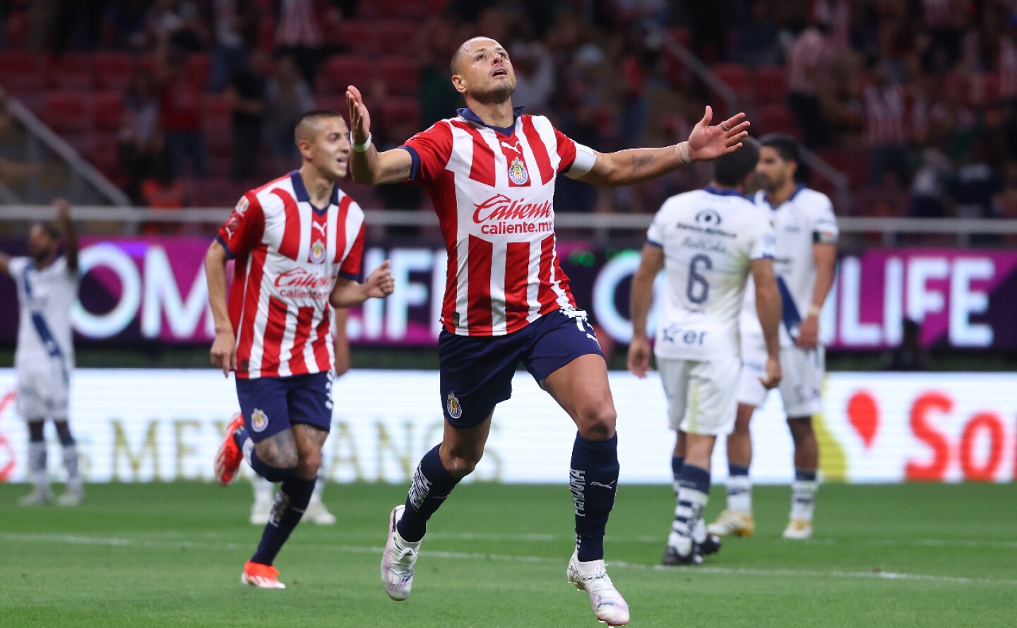 resultados-jornada-14-liga-mx-clausura-2024