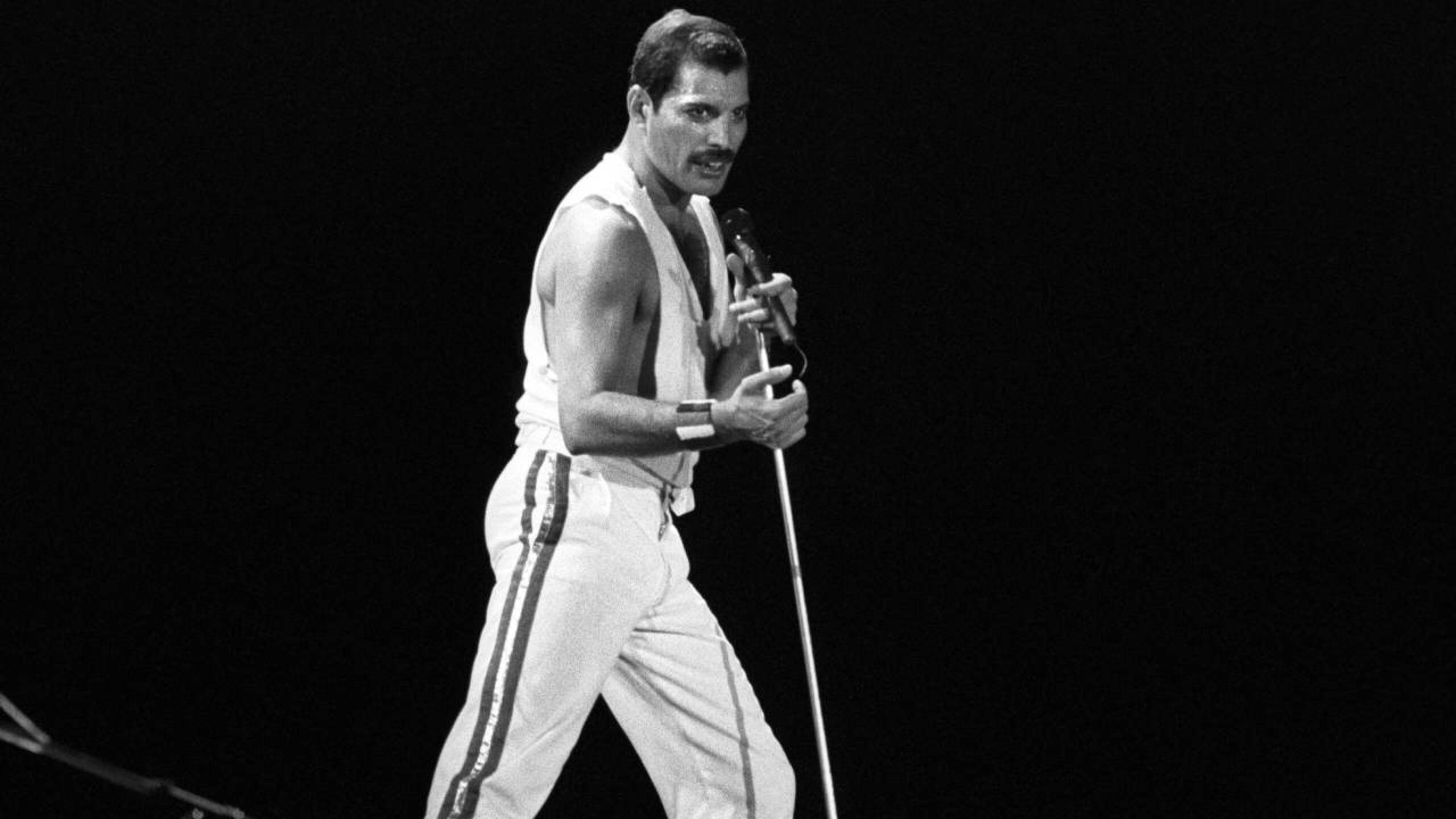 Freddie-Mercury-1