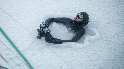 Inmersiones en el hielo, fotos de morsas y encuentros con ballenas
