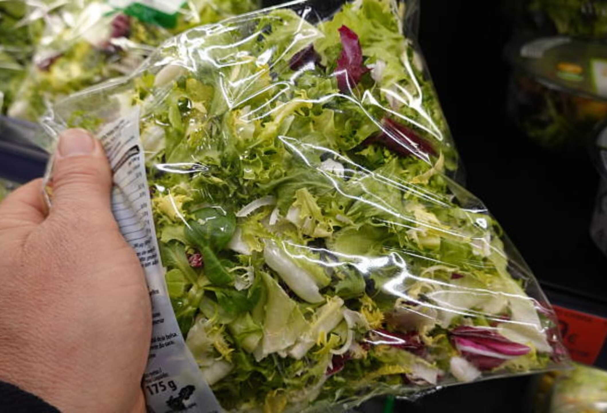 lechuga.jpeg