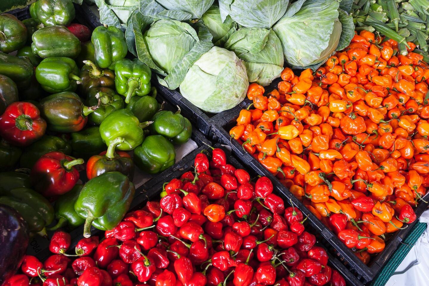 inflacion paises pobres exportacion alimentos fao