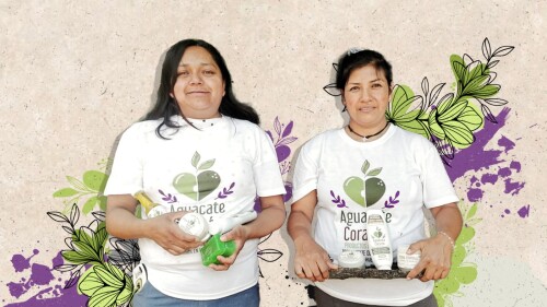 Aguacate Corazon un emprendimiento en Morelos para dar trabajo a mujeres