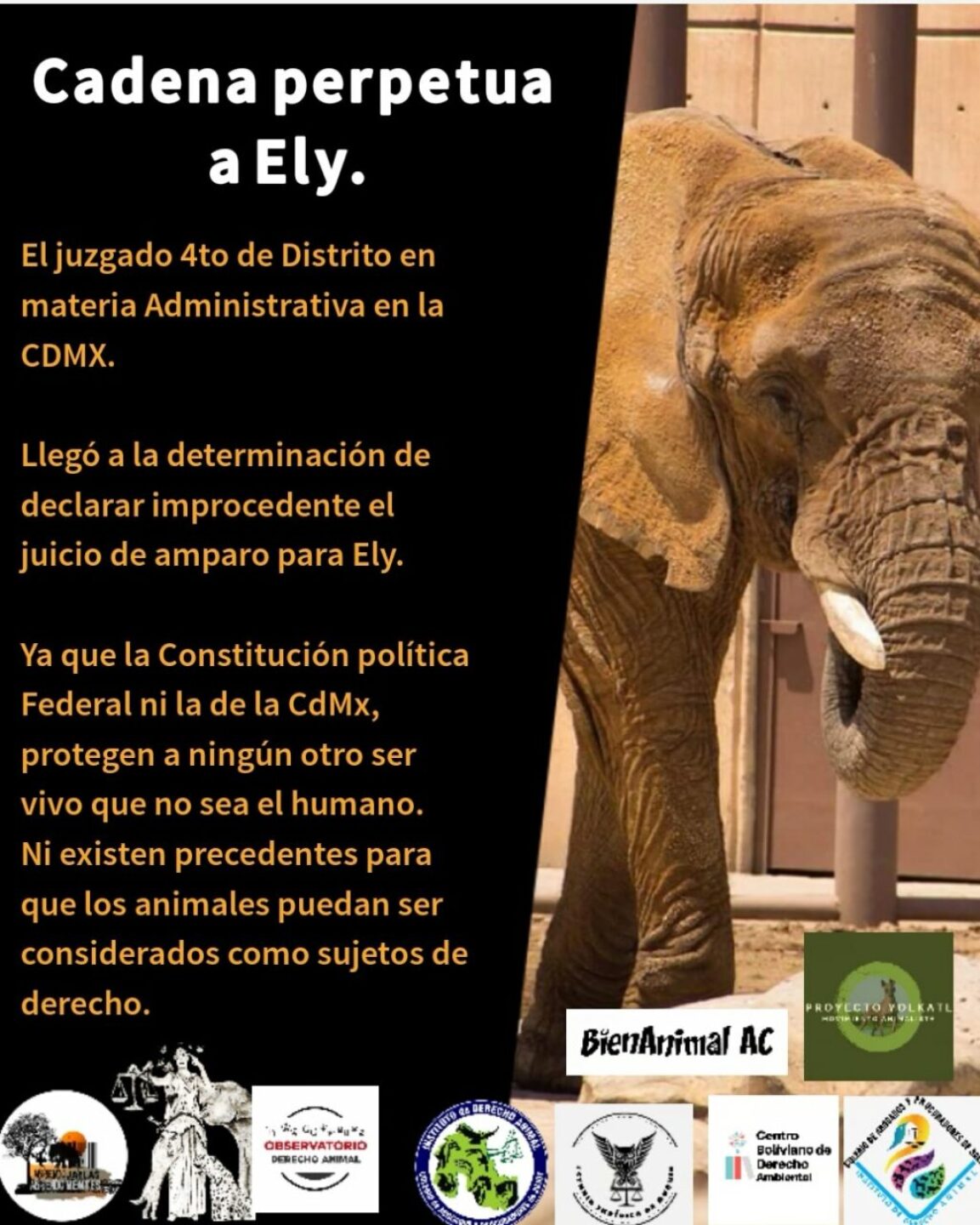 CadenaPerpetuaEly-1025x1280