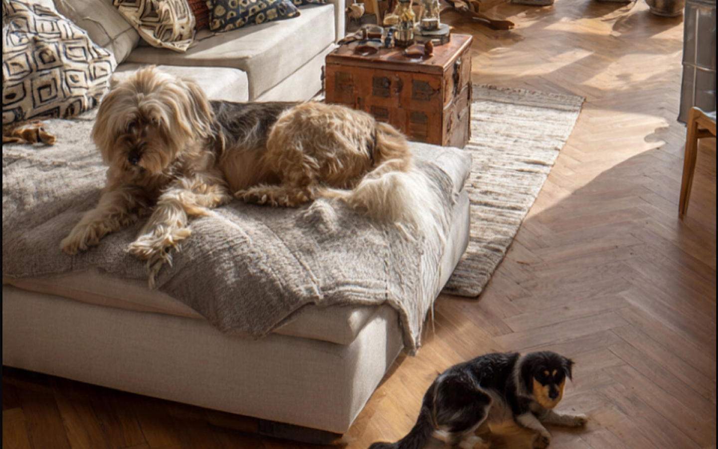 Renta de departamento CDMX