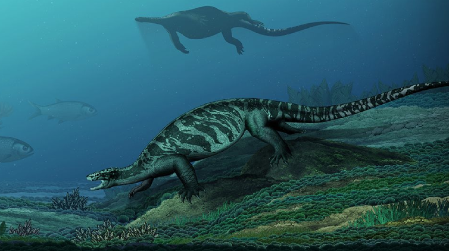 Captura de pantalla 2018-08-23 a la(s) 11.39.48