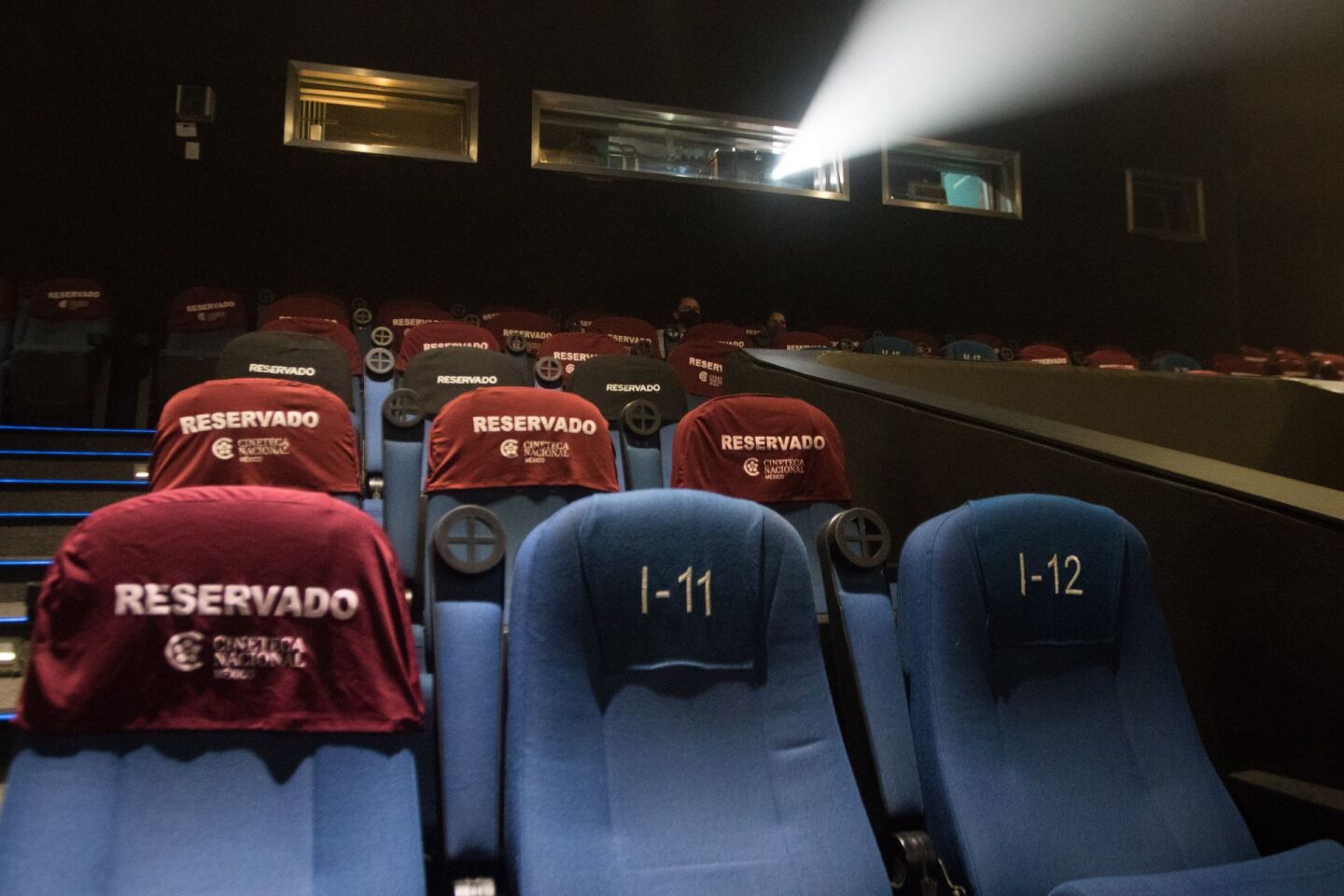 La Cineteca Nacional, re abrio sus puerta este día