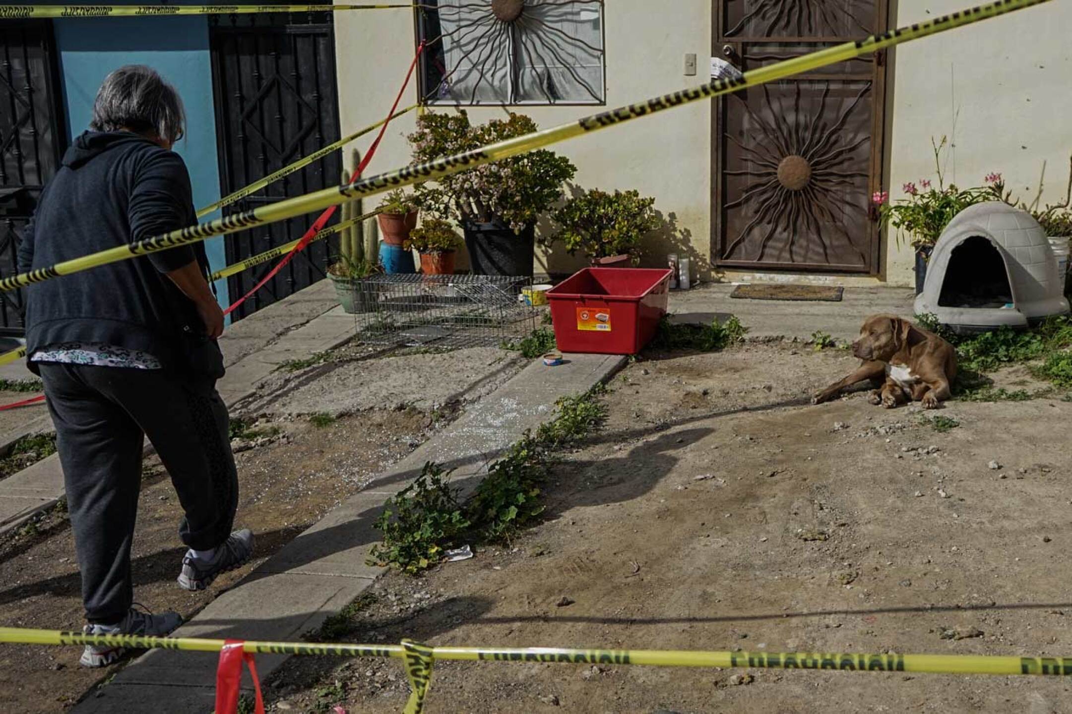 fotos-de-la-semana-5