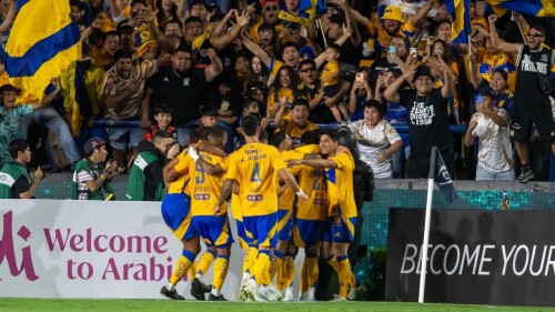 tigres_galaxy_1.jpg