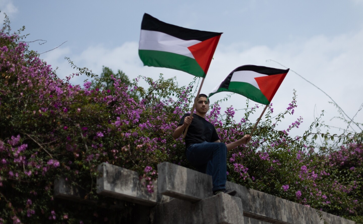 palestina