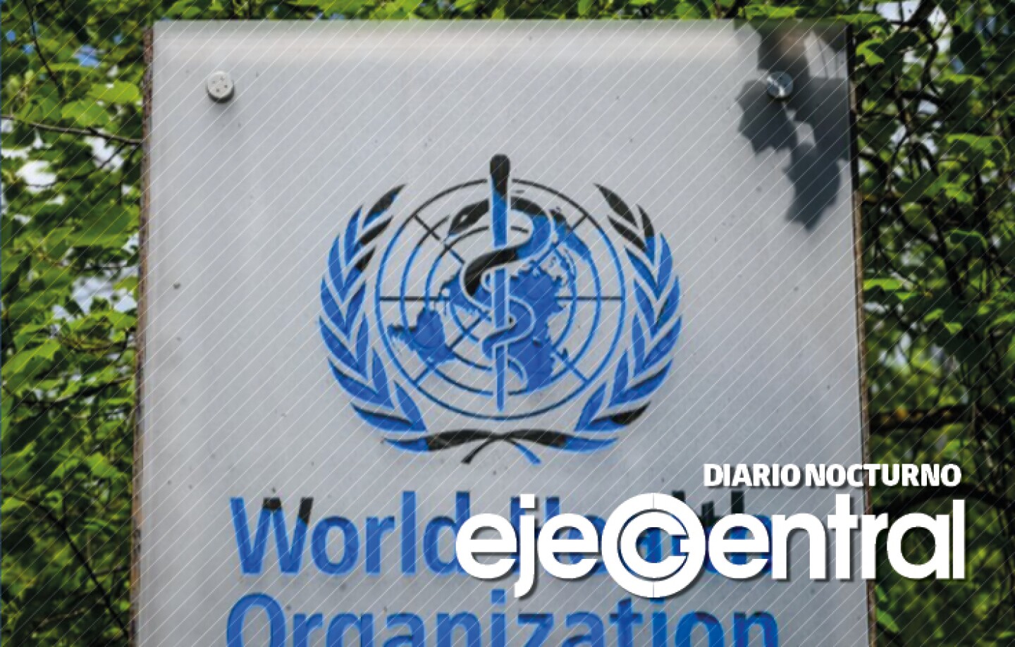 3-Promo-783-OMS-regaña-a-científicos-es-imperdonable-que-no-se-conociera-la-información.-Cumple-la-OMS-75-años-y-llama-a-equidad-de-salud