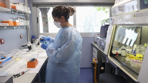 Confirman el primer caso de viruela del mono en Brasil