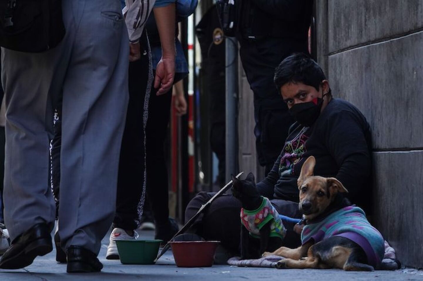 Un hombre solicita ayuda económica para él y sus mascotas en calles del Centro Histórico en la víspera de Nochebuena.