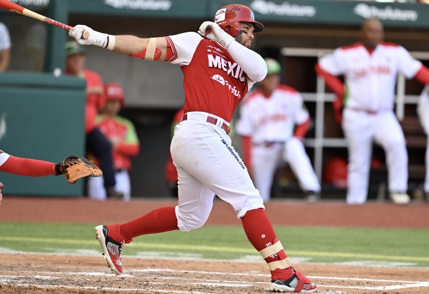 Liga Mexicana de Beisbol