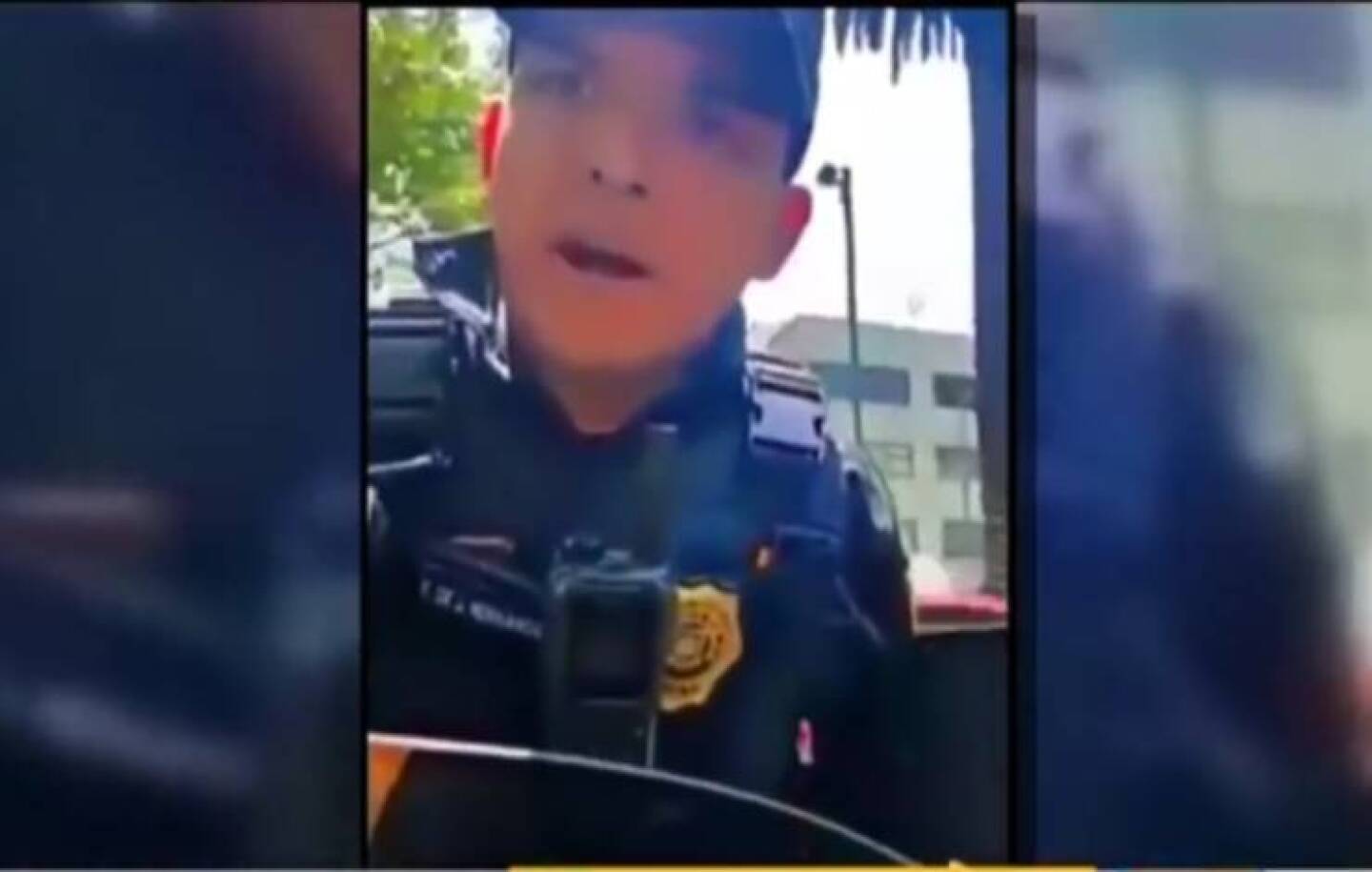 Policía Especial