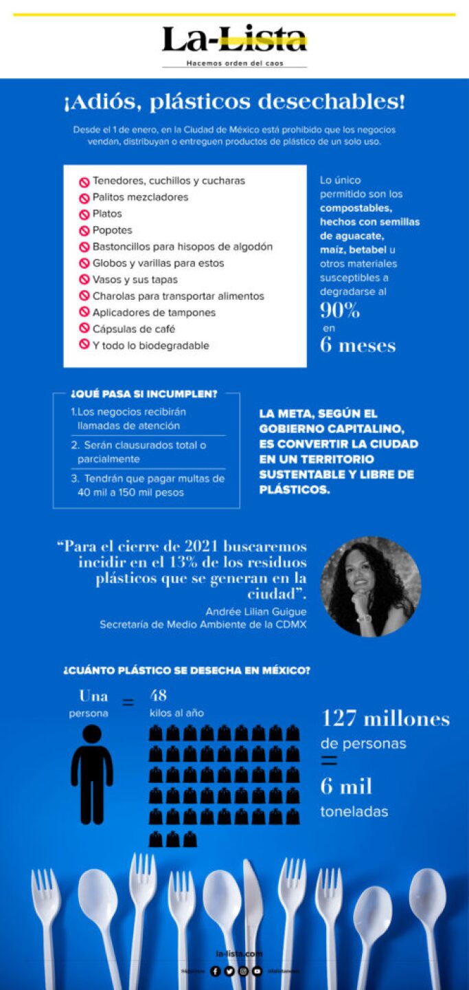 Plasticos-desechables-2-486x1024