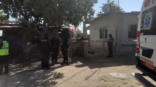 WhatsApp Image 2022-02-03 at 1.03.25 PM