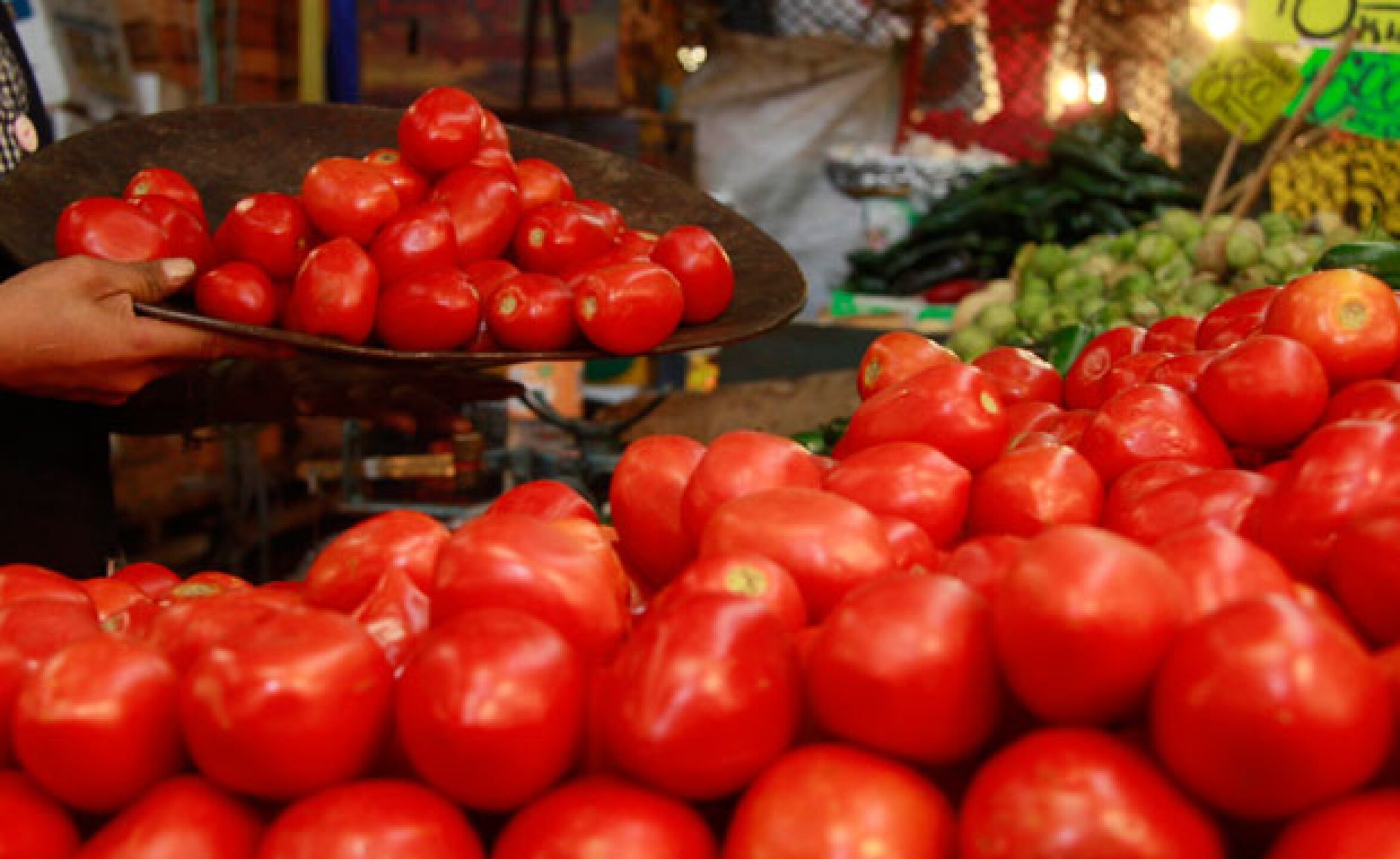 sintesis_JITOMATE07062013