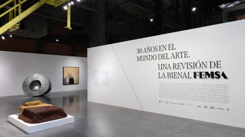 bienal femsa.jpg