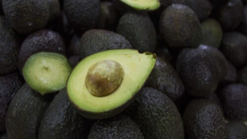 AGUACATE-Cuartoscuro-e1511922204576