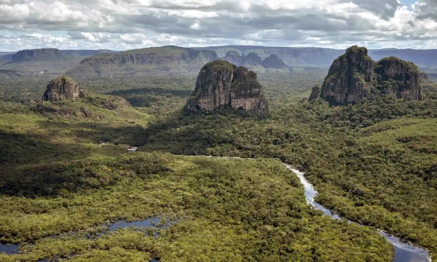 disputa_en_colombia_por_el_hallazgo_de_cuatro_niños_vivos_en_la_selva_tras_un_accidente_aéreo