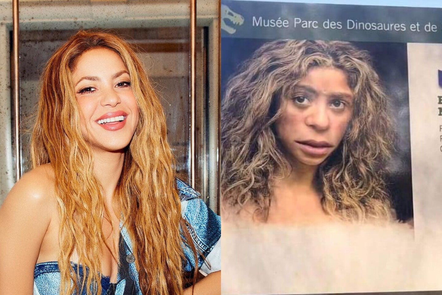 shakira