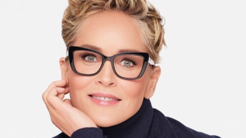 sharon_Stone_exdirector_sony_pictures_acoso_Sexual_