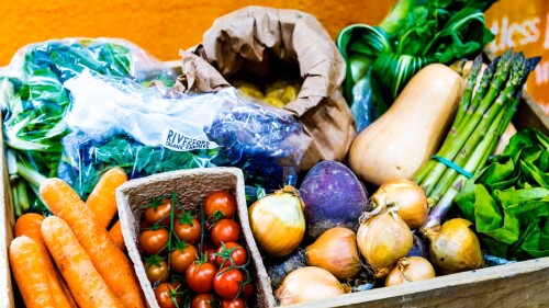 la dieta vegana reduce masivamente los daños medioambientales