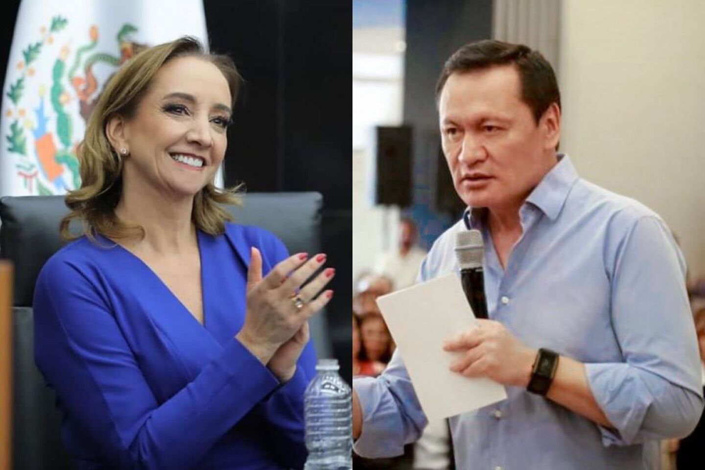 moratoria_constitucional_osorio_chong_