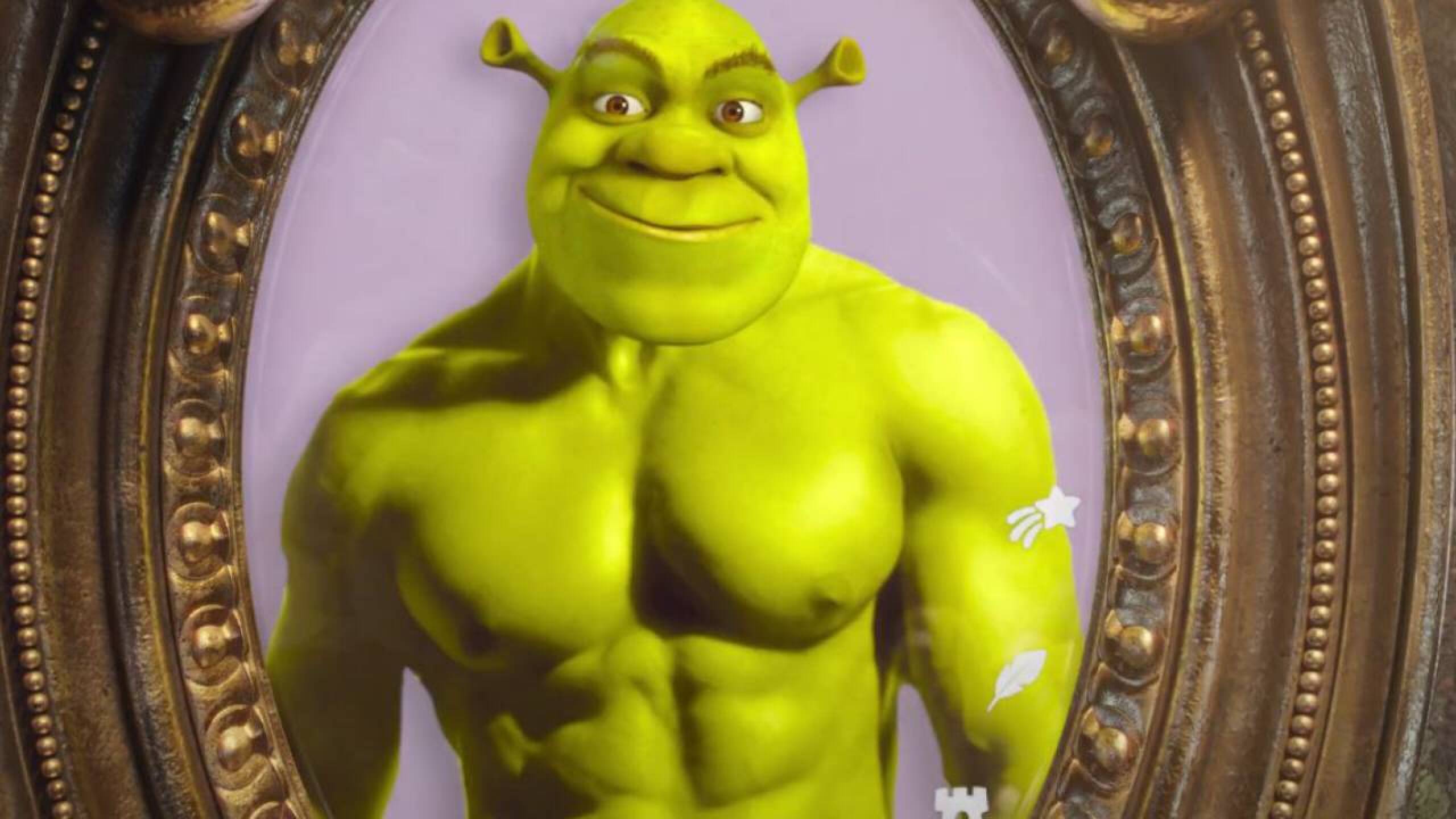 sherk 5(1).jpg