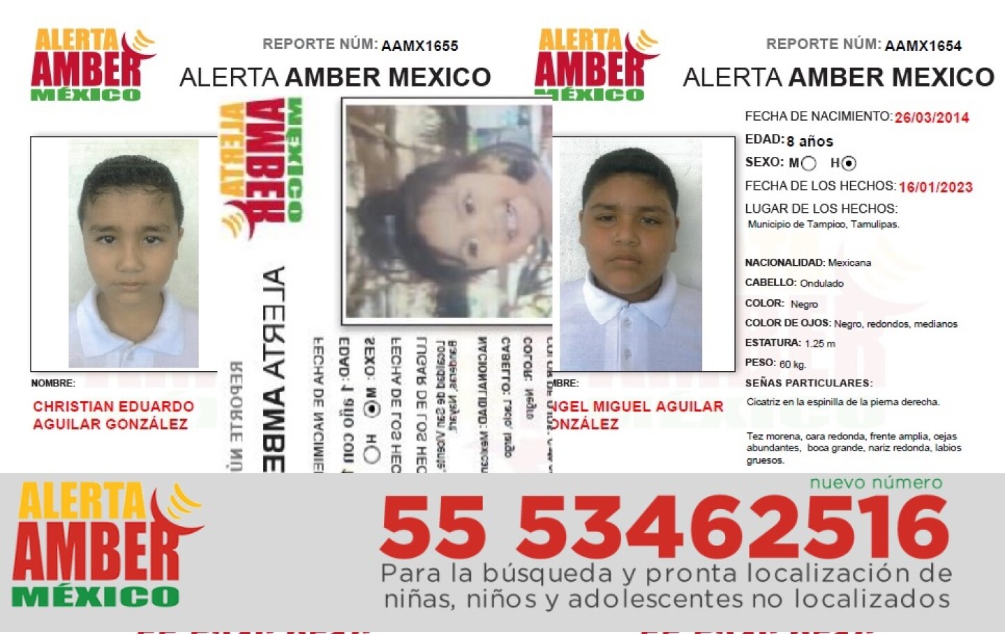 alerta amber