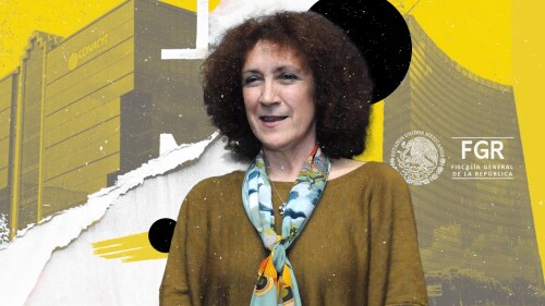 julia-taguena-fgr-cientificos