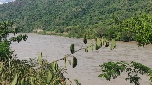 rio cauca