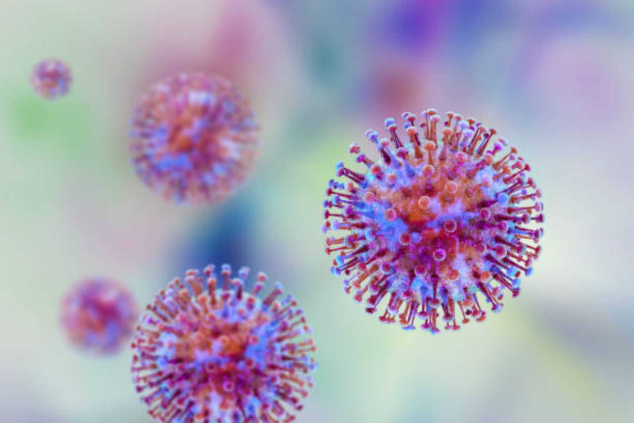 hantavirus1.jpeg