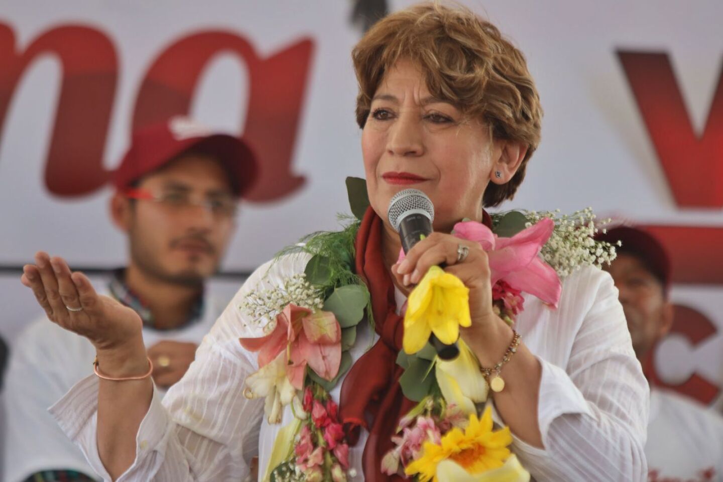 delfina comunicaciones