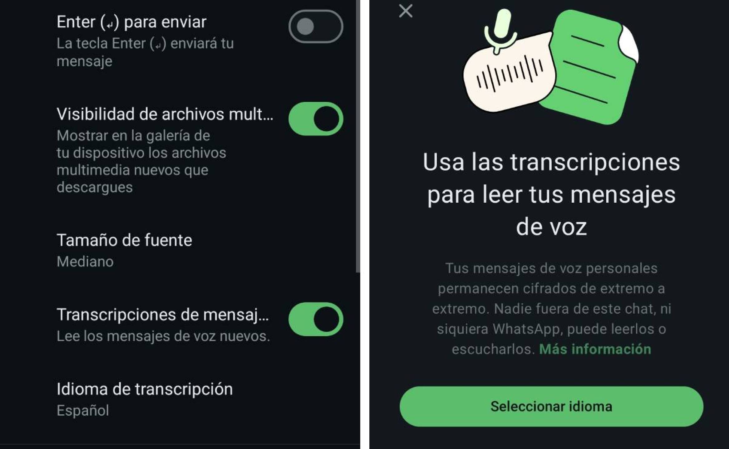 transcripción-whatsapp.jpg
