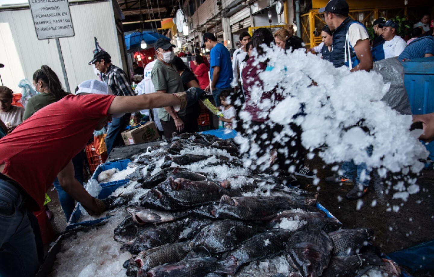 ejecentral_pescados_mercado_mar_pescado_la_viga