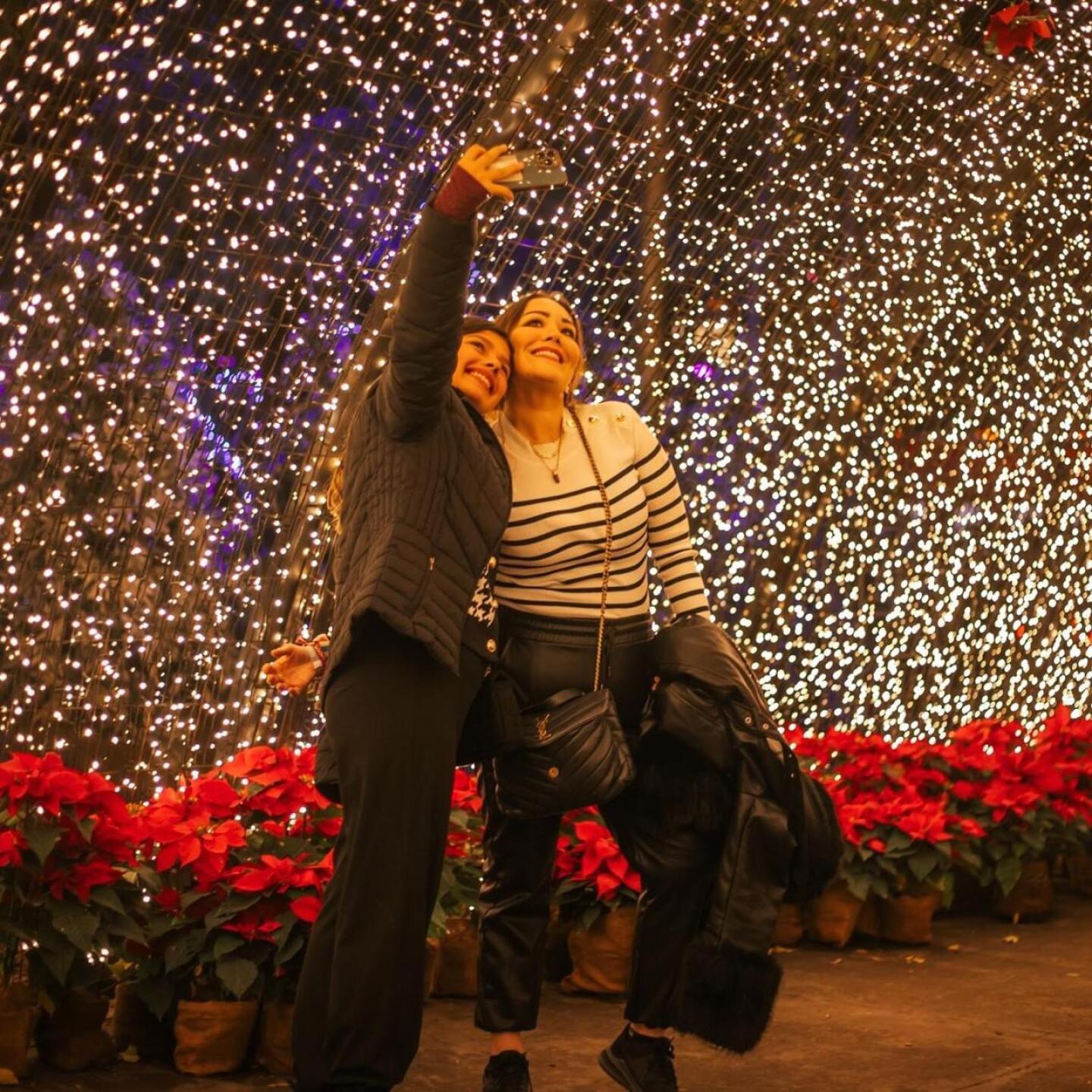 navidalia-guadalajara-2024-1