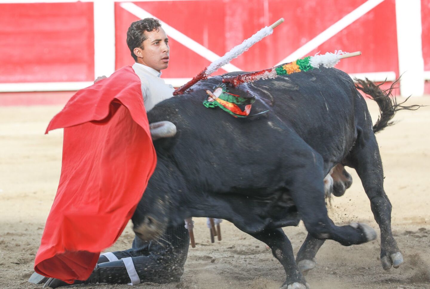 suspensión corridas de toros